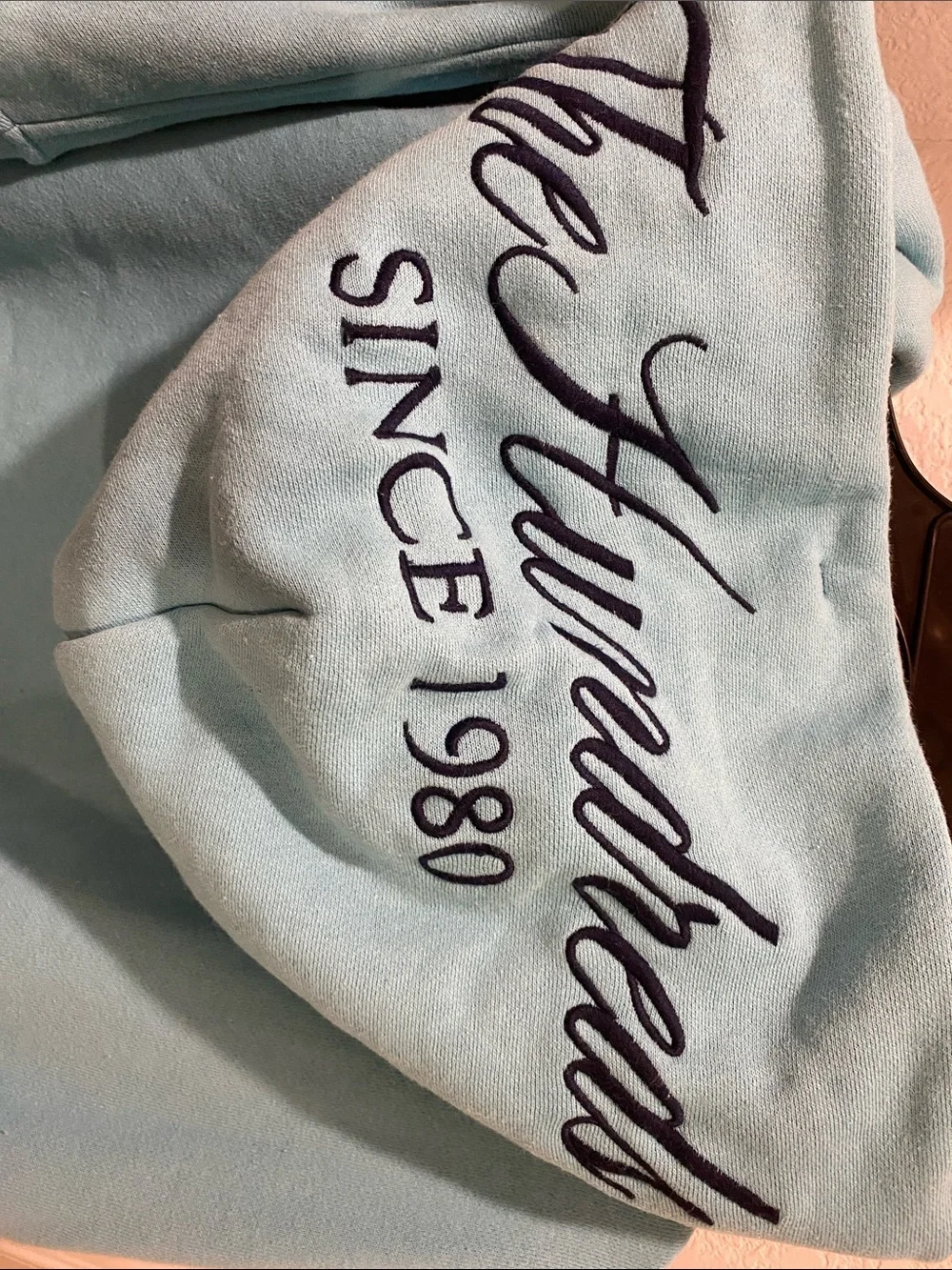 The Hundreds Men’s Zip-Up Hoodie in Aqua Men’s L